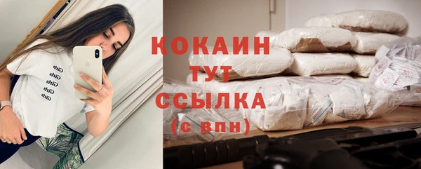 мет Арсеньев