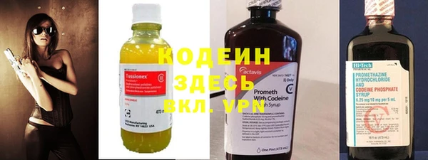 прущие грибы Бородино