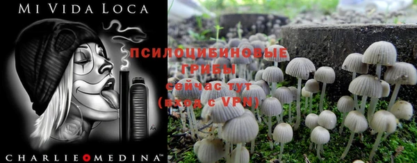 метадон Армянск